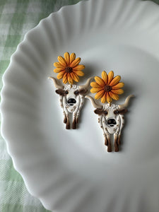 Longhorn Cows, White