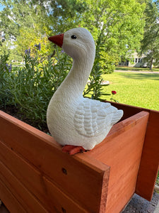 Baby Porch Goose