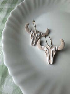 Cow Skulls
